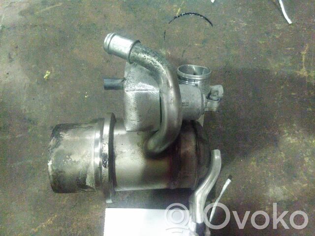 Volkswagen Tiguan Supapă EGR 
