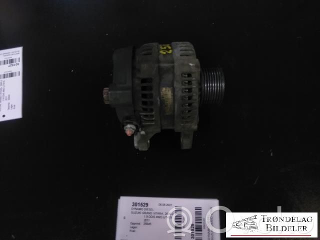 Suzuki Grand Vitara II Alternator 