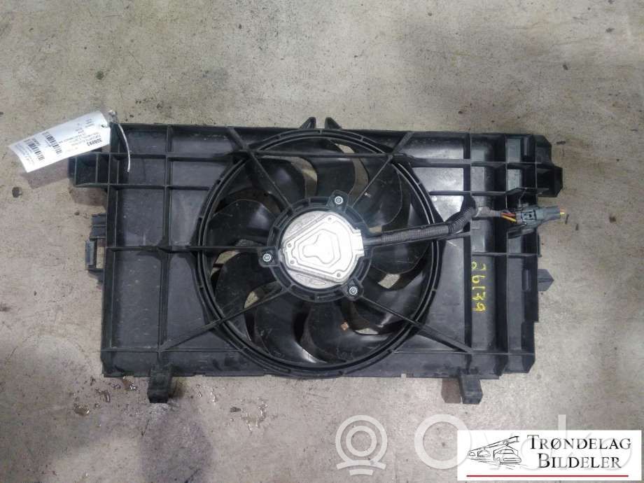Tesla Model 3 Elektrinis radiatorių ventiliatorius 