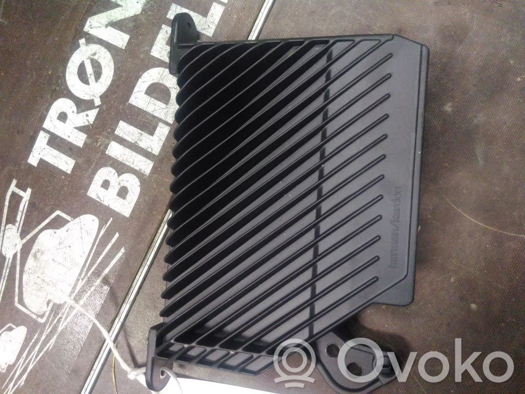 Polestar 2 Garso stiprintuvas 