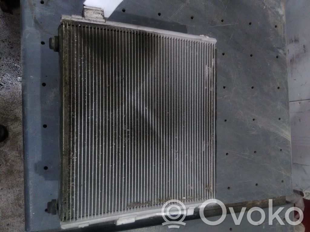 Tesla Model S Aušinimo skysčio radiatorius 