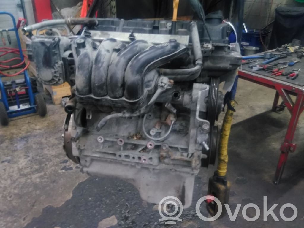 Motor