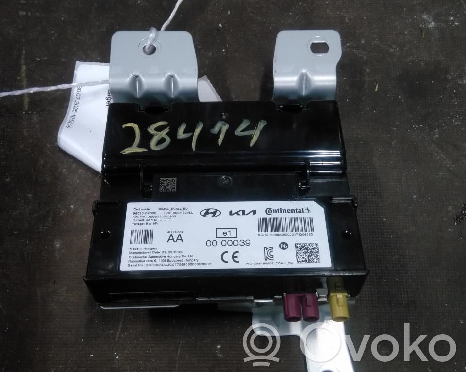 KIA EV6 Other control units/modules 