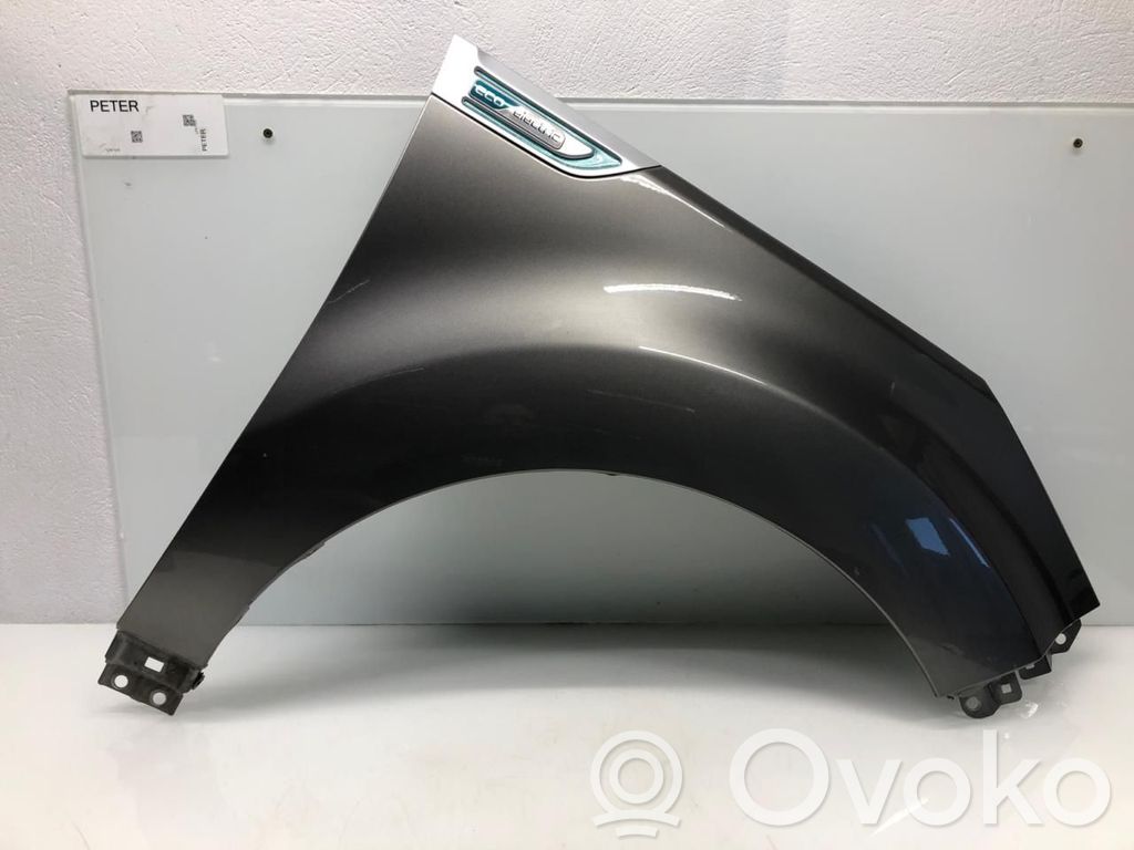 Guardabarro   66321B2000,66321B2000