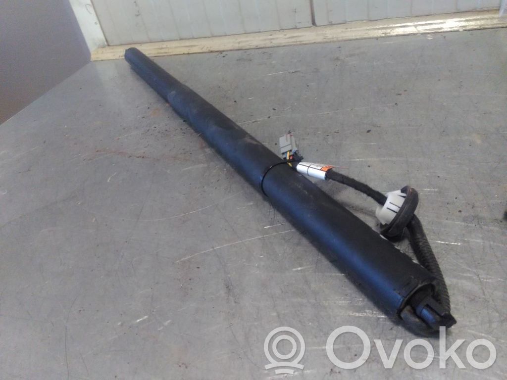 Ford Mustang Mach-E Tailgate/trunk strut/damper 