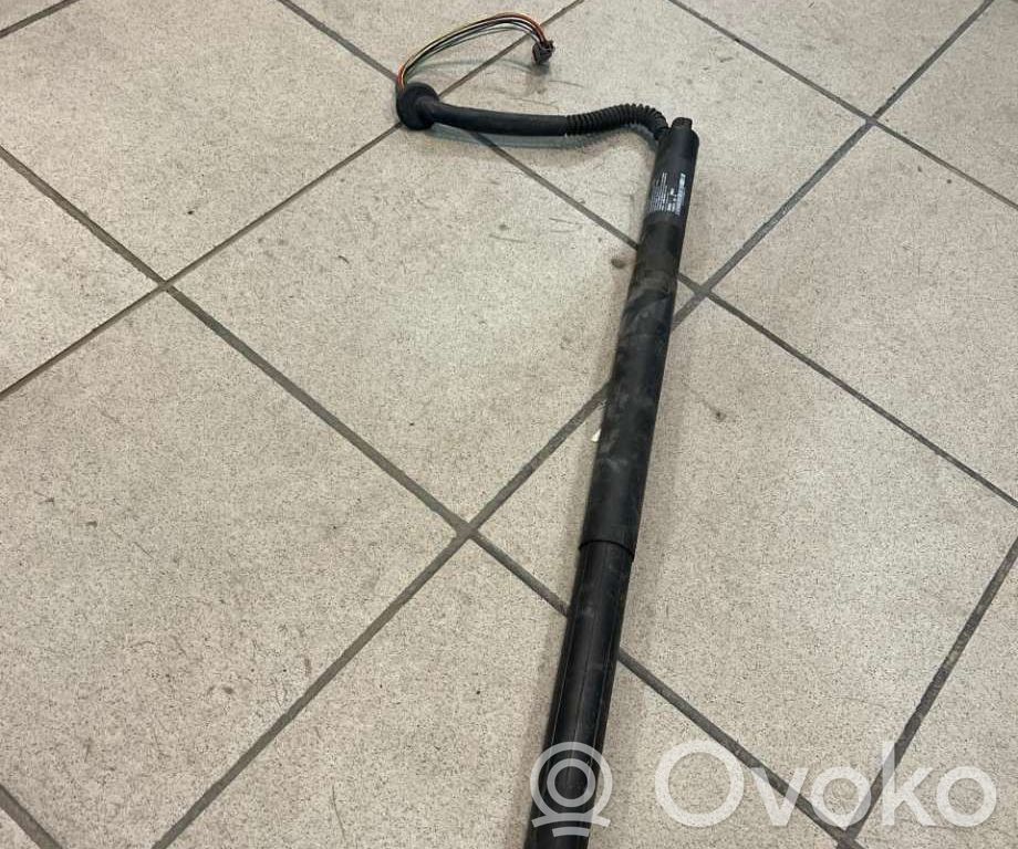 Tesla Model S Tailgate/trunk strut/damper 