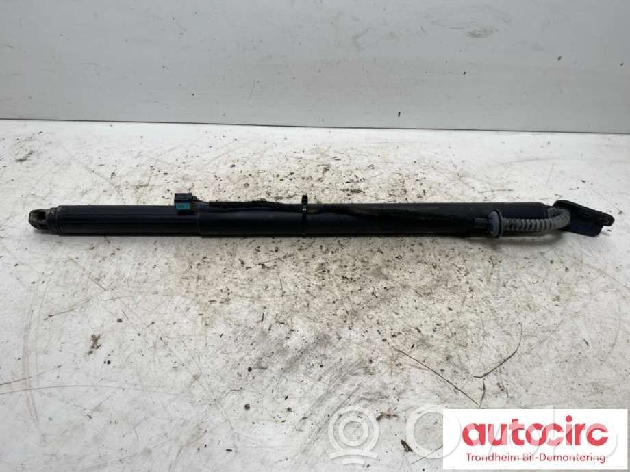 KIA Optima Tailgate/trunk strut/damper 