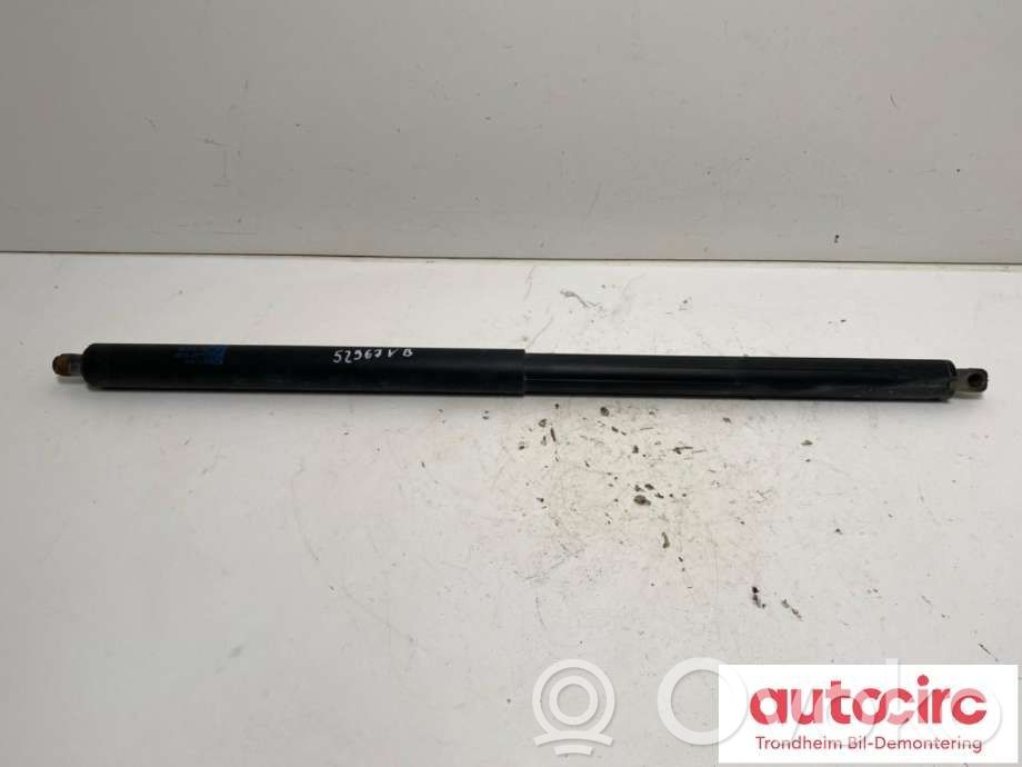 Tesla Model S Tailgate/trunk strut/damper 