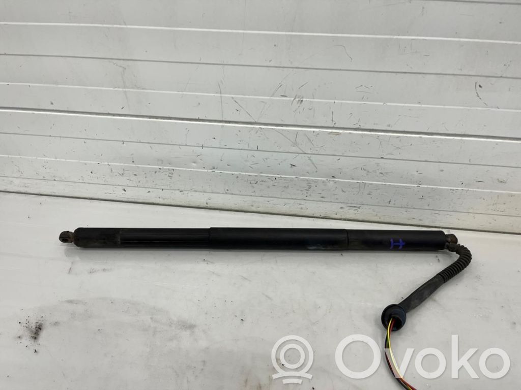 Tesla Model S Tailgate/trunk strut/damper 