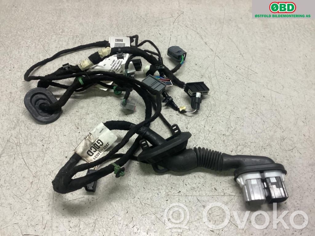 Cablaggio elettrico   2429934,2429934