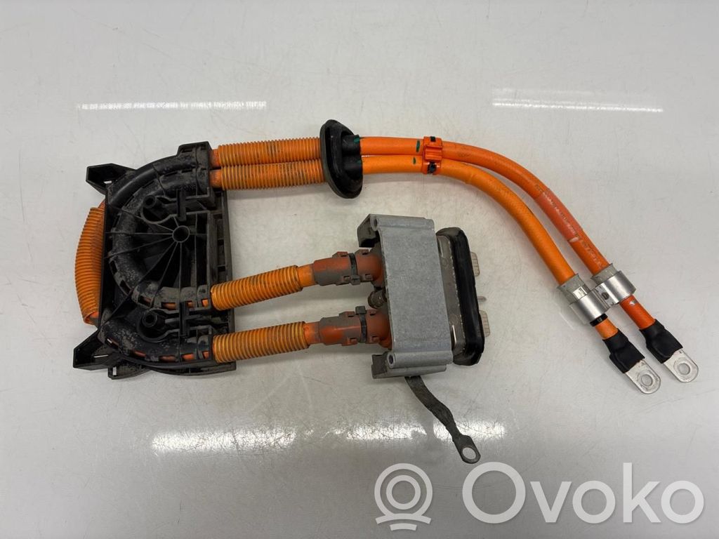 High voltage cable   102256500D,101281200B,101281200B,102256500D