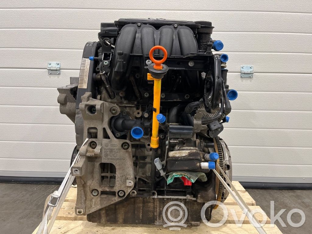 Skoda Octavia Mk2 (1Z) Motor 