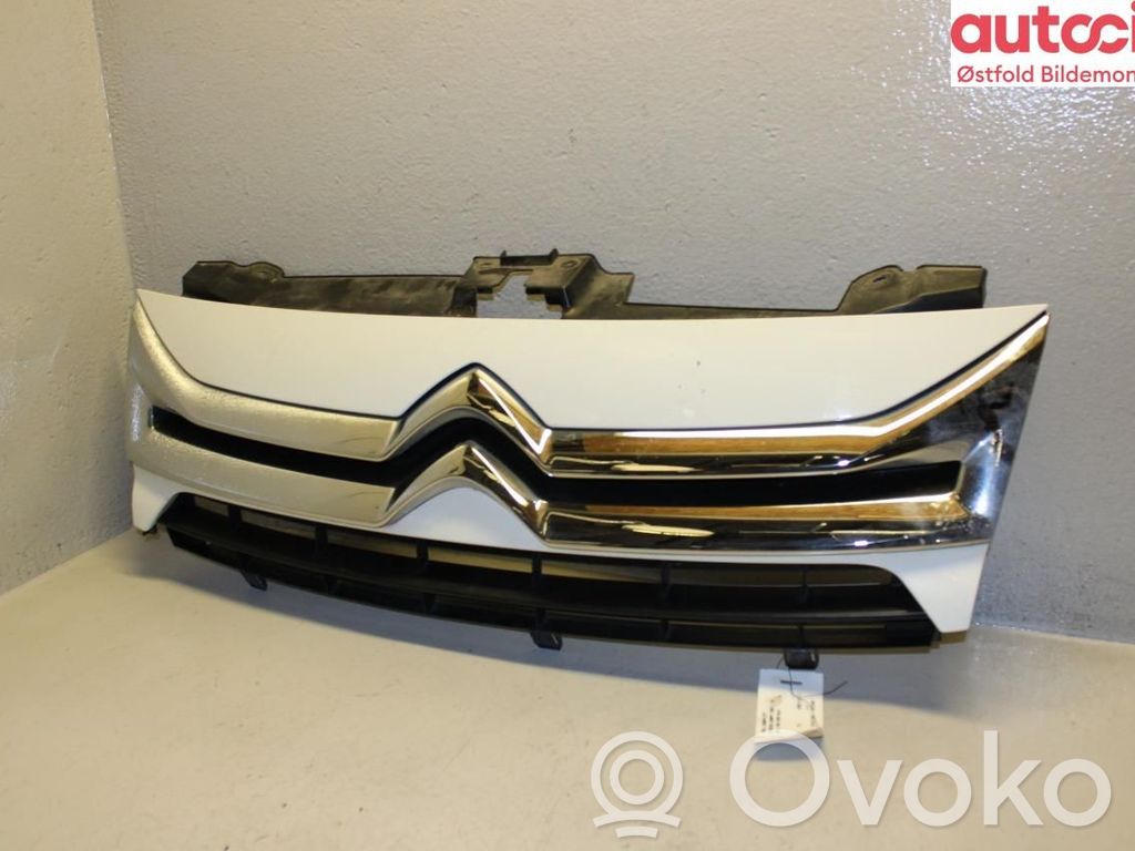 Citroen Jumpy Front grill 