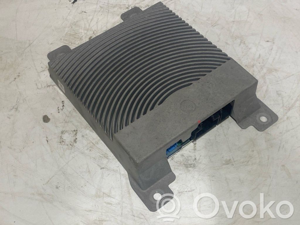 Ford Mustang Mach-E Amplificatore 