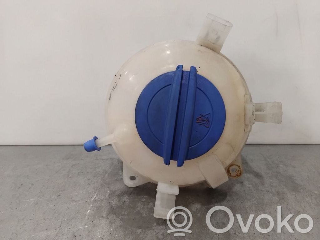 Skoda Octavia Mk2 (1Z) Vaso di espansione carburante