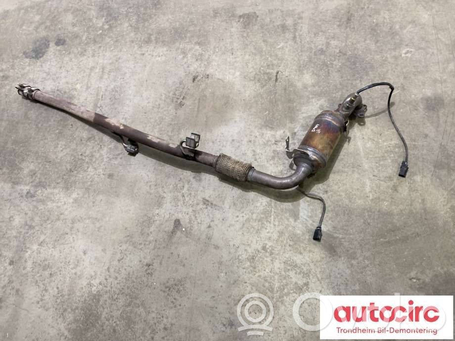 Skoda Rapid (NH) Filtru de particule catalizator/FAP/DPF 