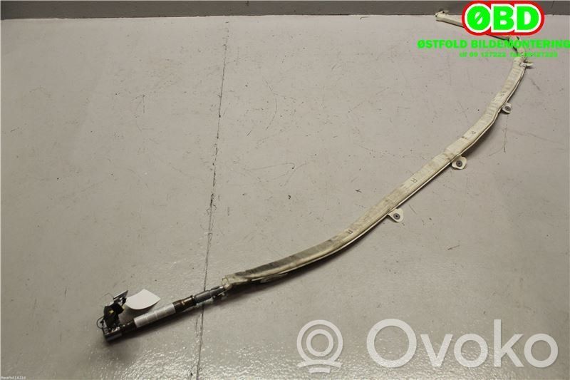 Audi A8 S8 D3 4E Kurtyna airbag 