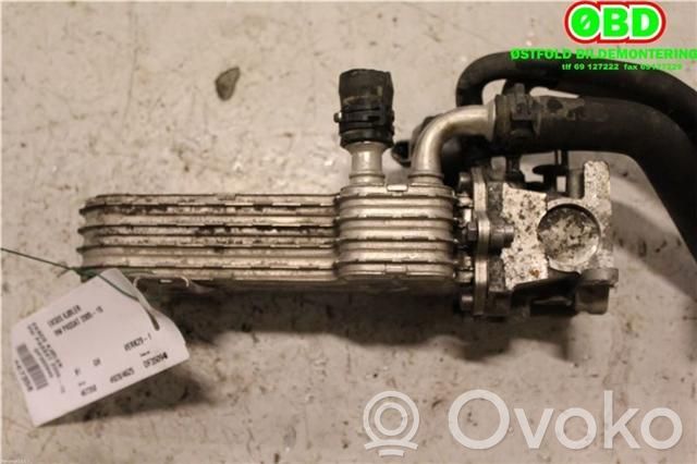Volkswagen PASSAT B6 Valvola di raffreddamento EGR
