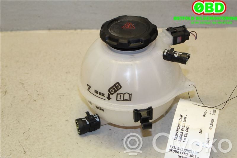 Skoda Fabia Mk3 (NJ) Vas expansiune combustibil 