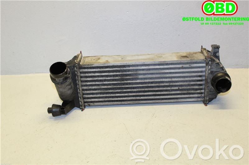 Mercedes-Benz Citan W415 Radiator intercooler 