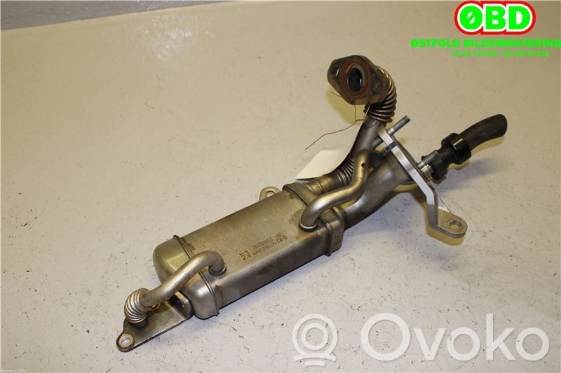 Renault Clio IV Refroidisseur de vanne EGR 