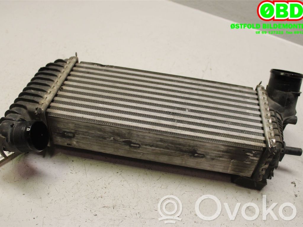 Radiator intercooler   2027395,2027395