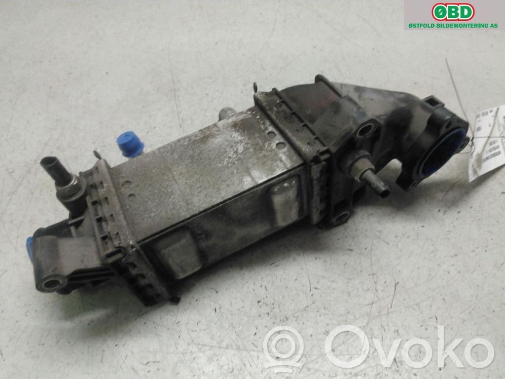 Volkswagen Polo V 6R Radiatore intercooler