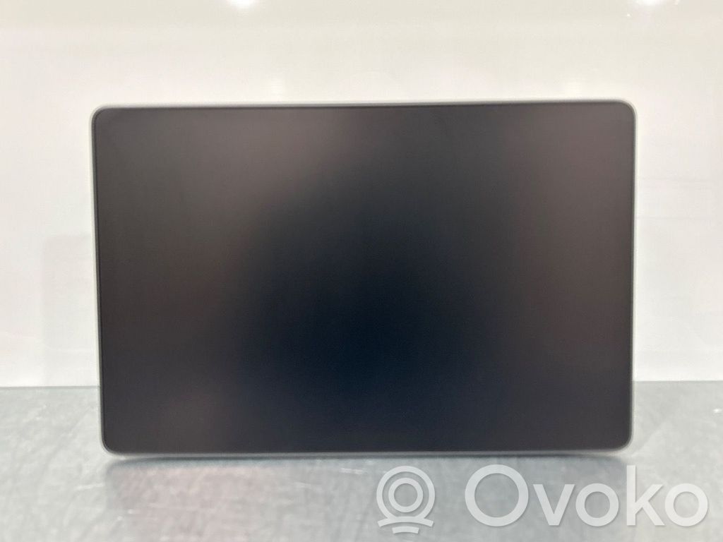 Tesla Model Y Head unit multimedia control 