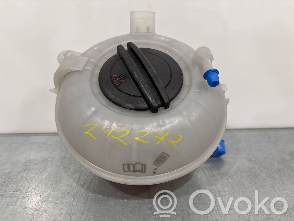 Volkswagen e-Golf Vaso di espansione carburante 