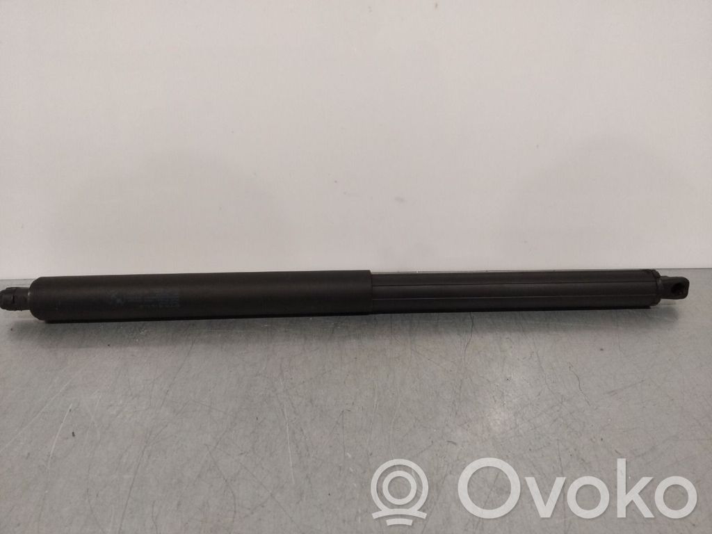 BMW X5 E70 Ammortizzatore portellone posteriore/bagagliaio 