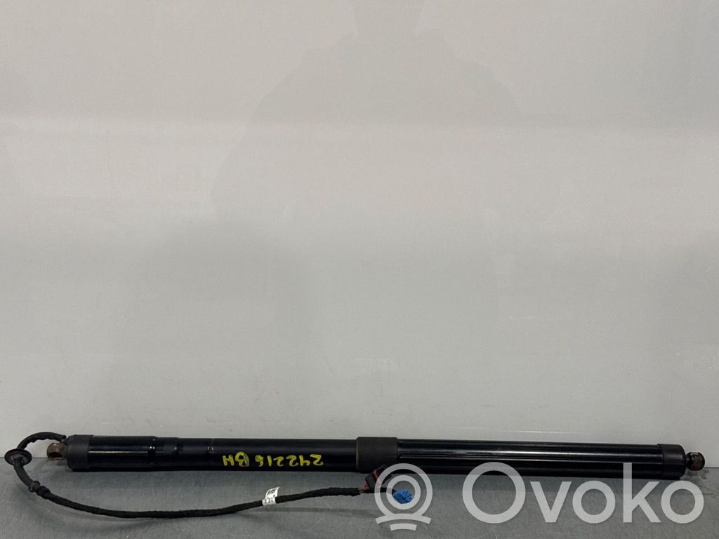 Porsche Panamera (970) Motor ridicare hayon/capotă portbagaj 