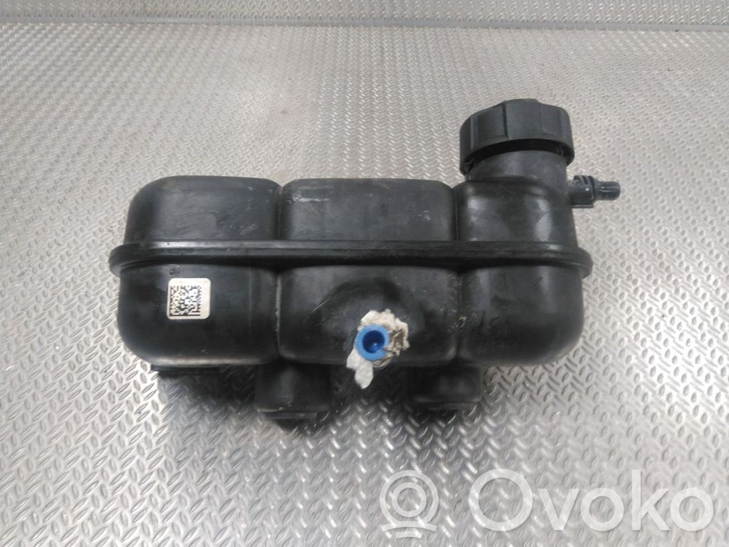 BMW X1 F48 F49 Vas expansiune combustibil