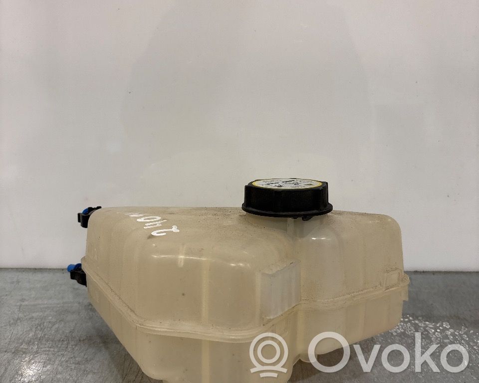 Ford Fiesta Vase d'expansion de carburant 
