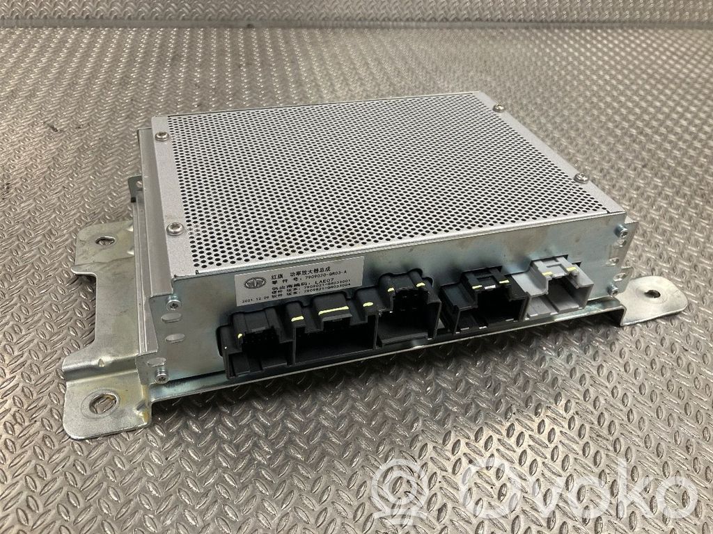 Hongqi E-HS9 Amplificatore 