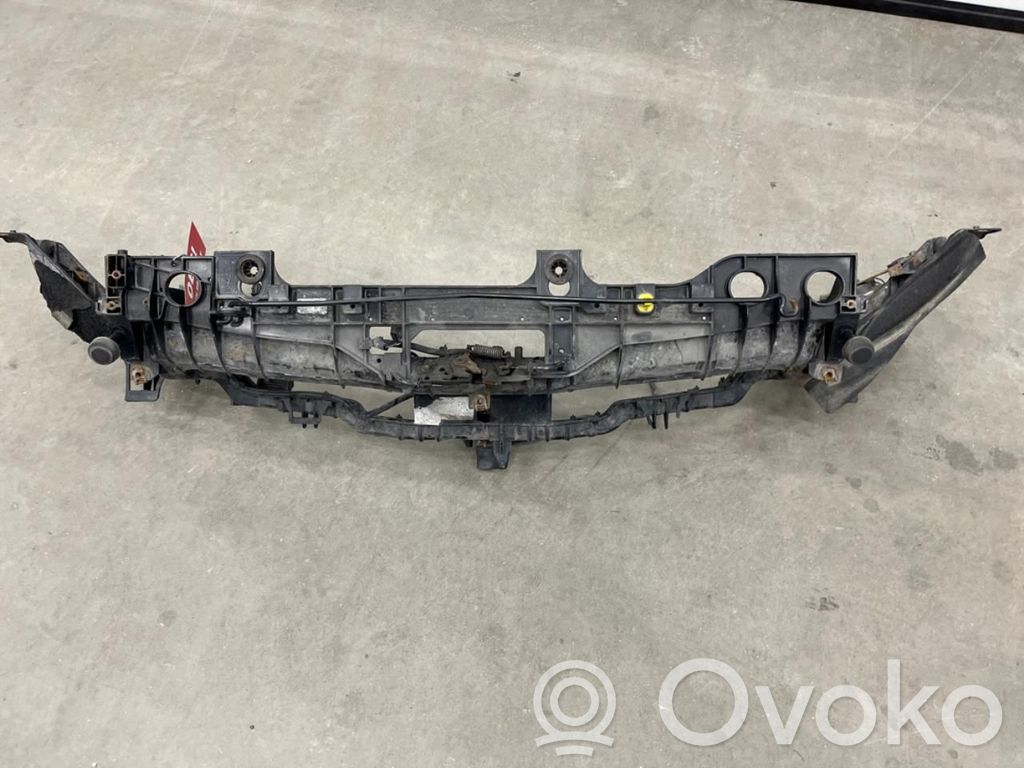 Ford Transit Radiatoru panelis 