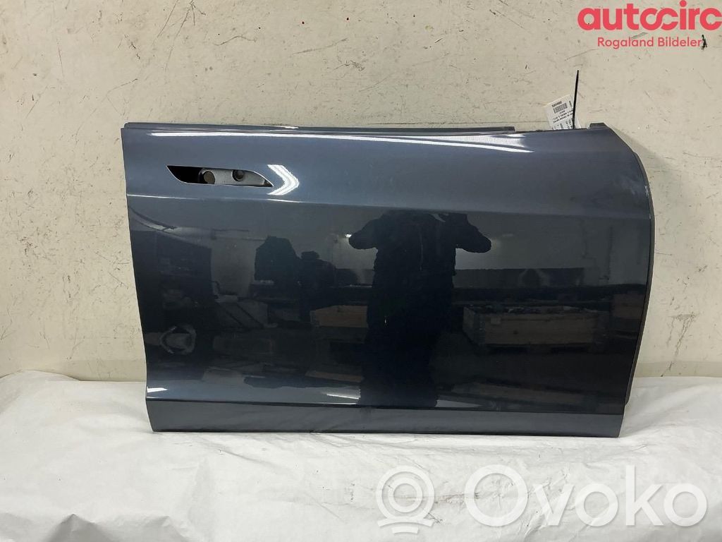 Tesla Model S Portiera anteriore 