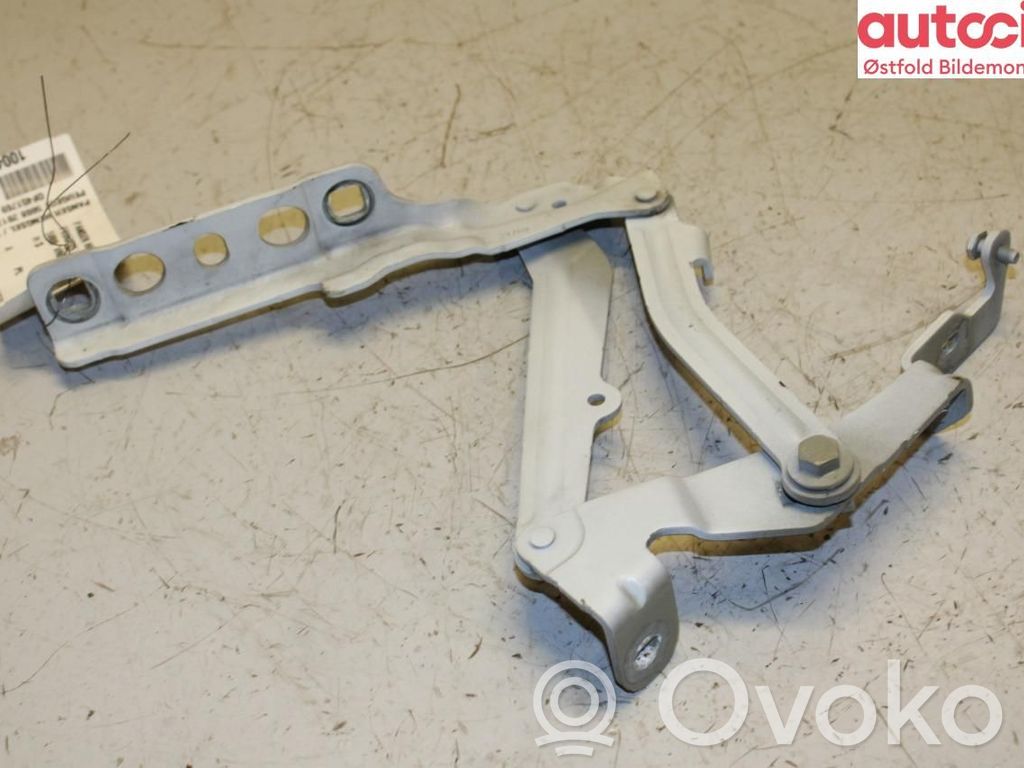 Peugeot 5008 II Cerniere del vano motore/cofano