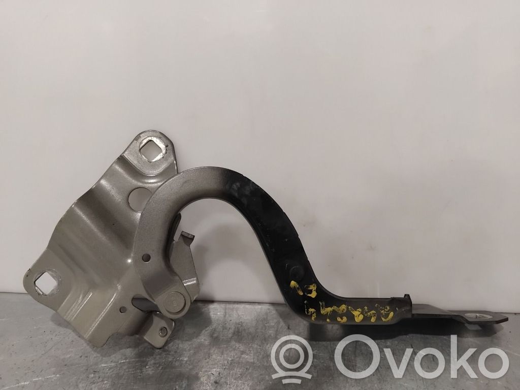 Renault Zoe Balamale capotă 