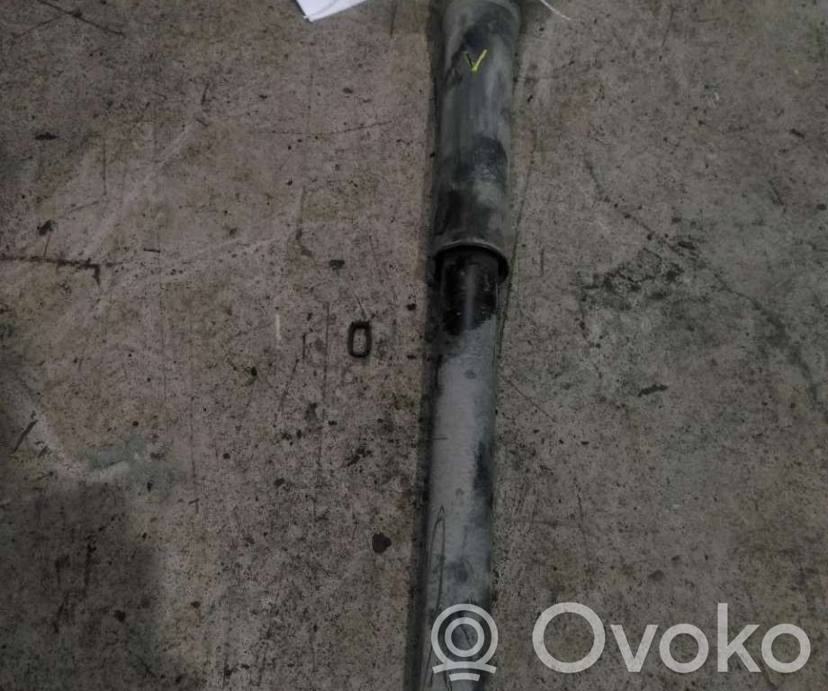 Stoßdämpfer hinten