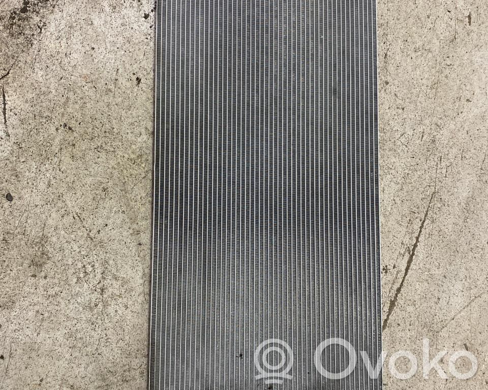 Polestar 2 Radiatore di raffreddamento 