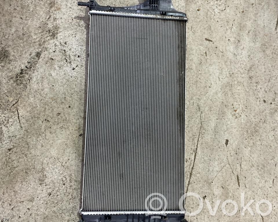 Polestar 2 Wasserkühler 