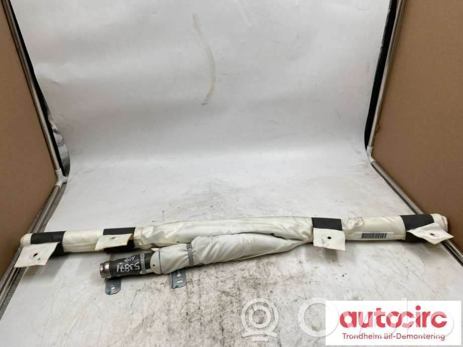 Tesla Model X Kattoturvatyyny 