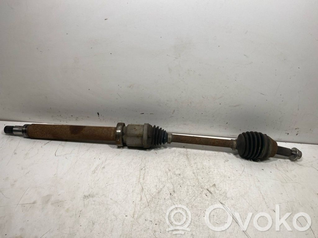 Ford Fiesta Amortyzator osi przedniej ze sprężyną 