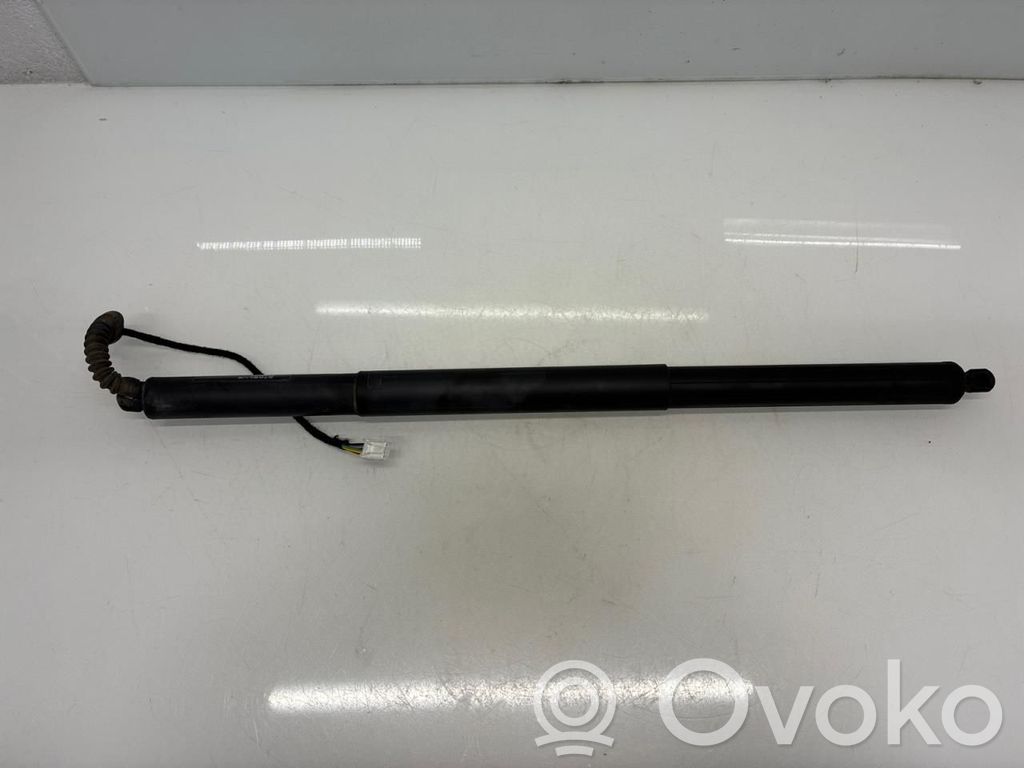 Tesla Model X Tailgate/trunk strut/damper 