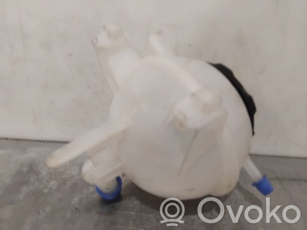 Volkswagen e-Golf Vaso di espansione carburante