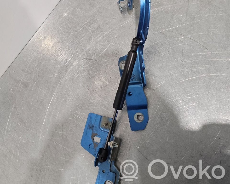 Renault Zoe Charnière, capot moteur