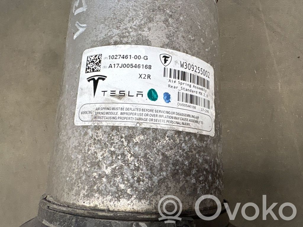 Tesla Model X Bolsa de la suspensión neumática 