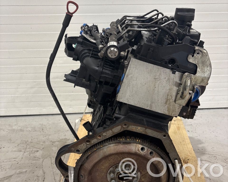 Motor   A6460100546,A6460100546,A6460100546,A6460100546,OM646821
