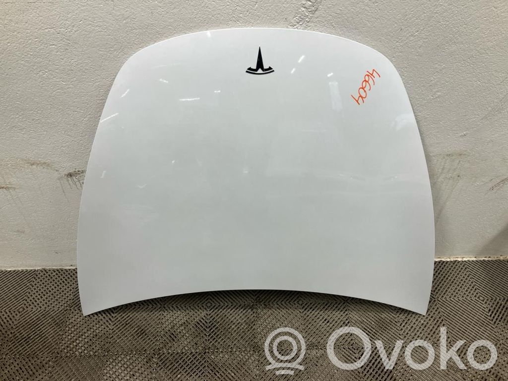 Tesla Model 3 Dzinēja pārsegs (vāks) 
