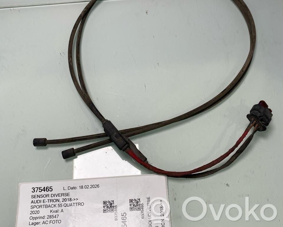 Audi e-tron Sensor 